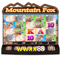 wwxx88